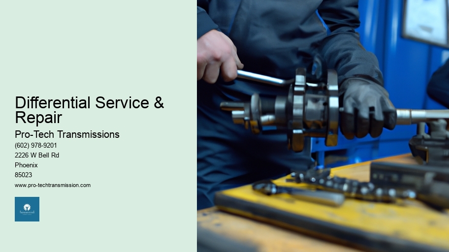 Differential Service & Repair