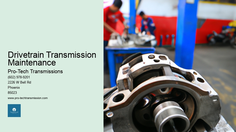 Drivetrain Transmission Maintenance